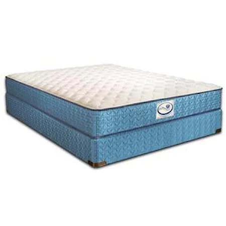 Queen Firm Mattress and Eco-Wood Base